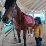 Hipoterapia 🐴